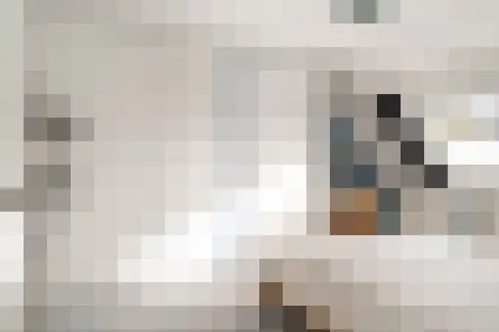 Spinet 28 Zevenaar thumbnail 37