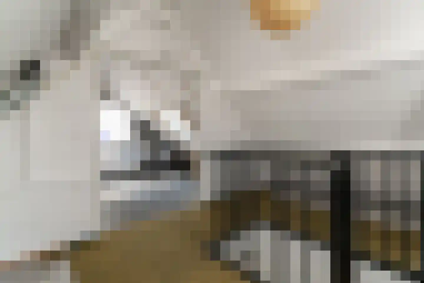 Spinet 28 Zevenaar thumbnail 42