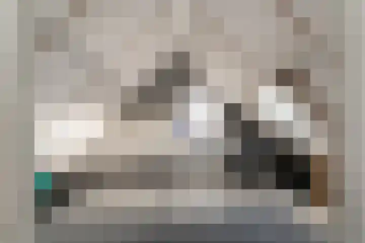 Spinet 28 Zevenaar thumbnail 43