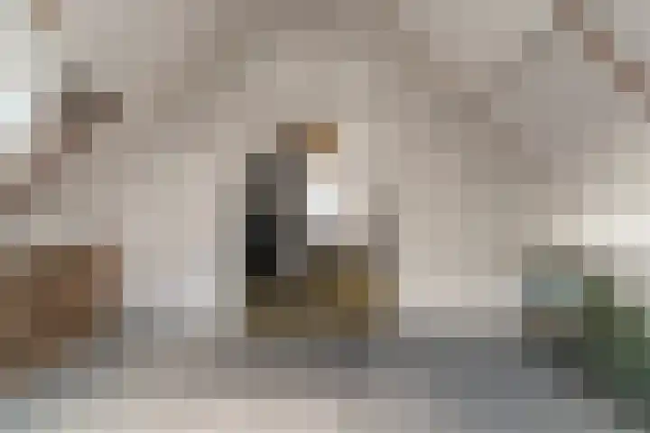 Spinet 28 Zevenaar thumbnail 44