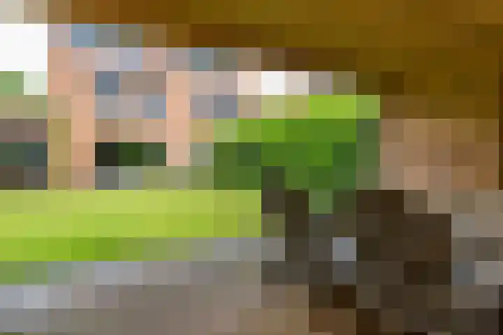 Spinet 28 Zevenaar thumbnail 5