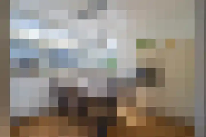 Spinet 29 Zevenaar thumbnail 10