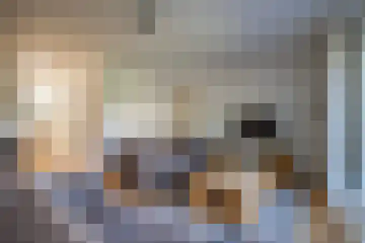 Spinet 29 Zevenaar thumbnail 11