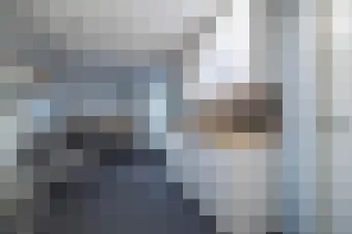 Spinet 29 Zevenaar thumbnail 15