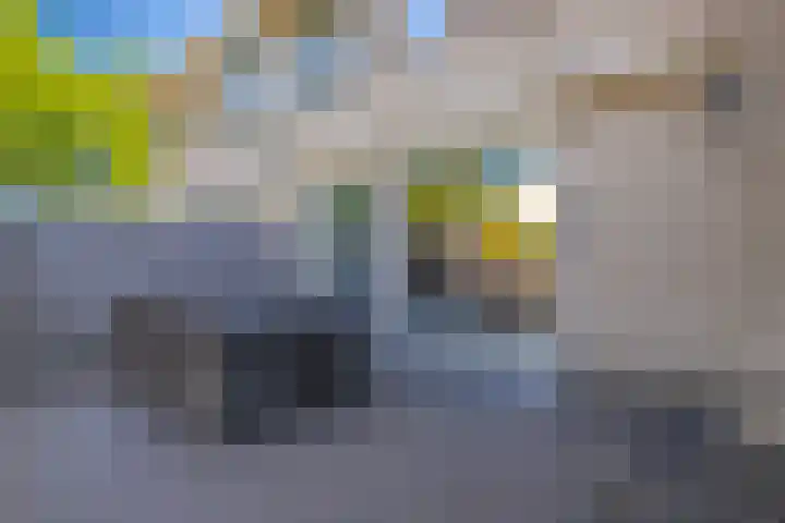 Spinet 29 Zevenaar thumbnail 17