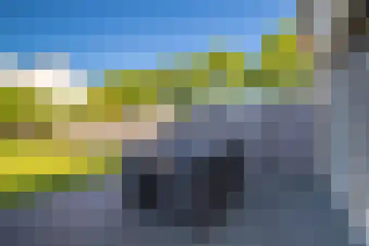 Spinet 29 Zevenaar thumbnail 18
