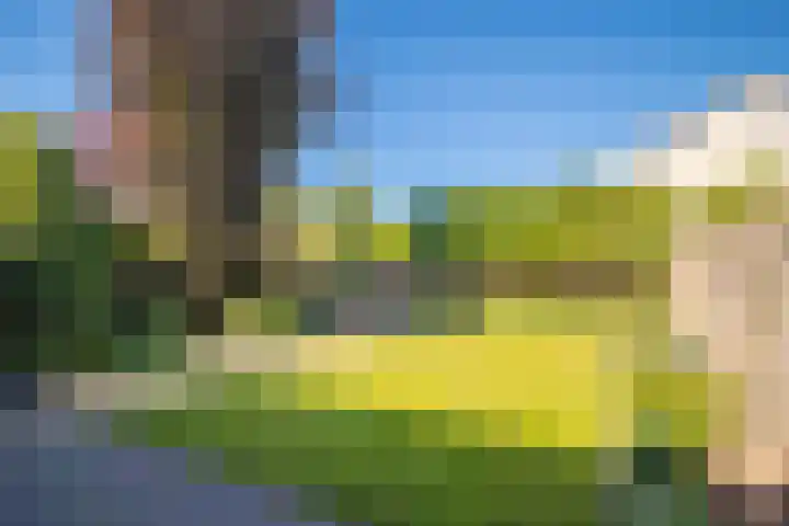 Spinet 29 Zevenaar thumbnail 19