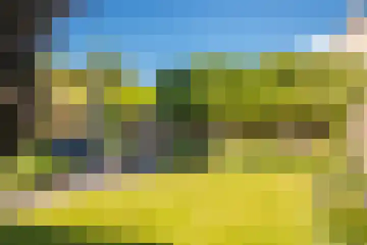 Spinet 29 Zevenaar thumbnail 20