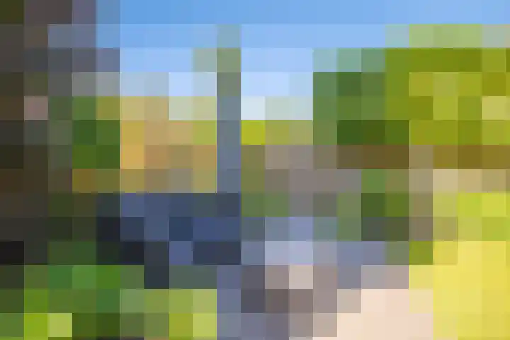 Spinet 29 Zevenaar thumbnail 21
