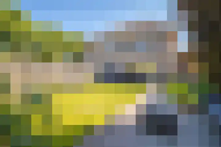 Spinet 29 Zevenaar thumbnail 22