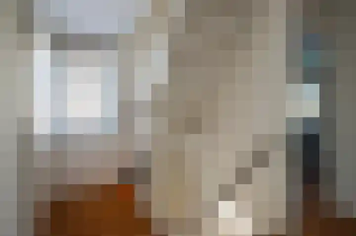Spinet 29 Zevenaar thumbnail 23