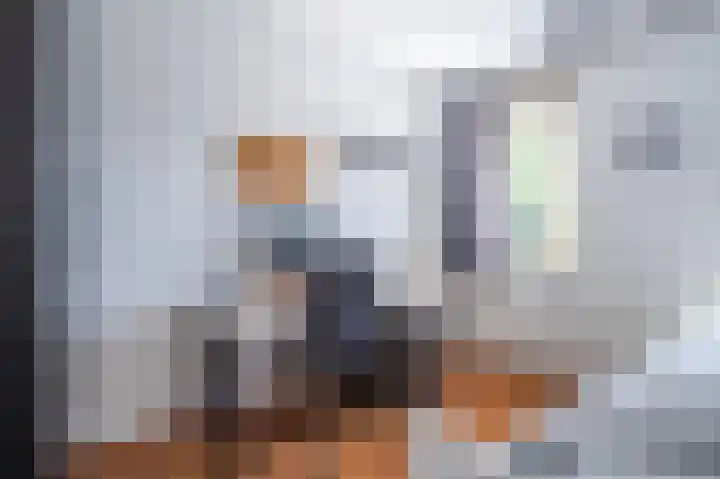 Spinet 29 Zevenaar thumbnail 24