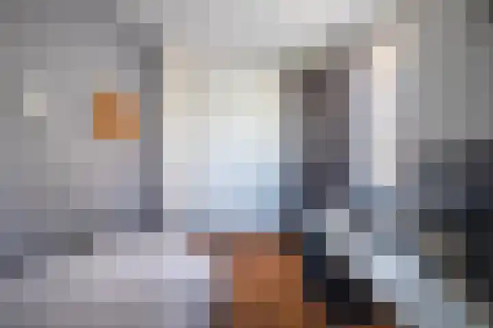 Spinet 29 Zevenaar thumbnail 30