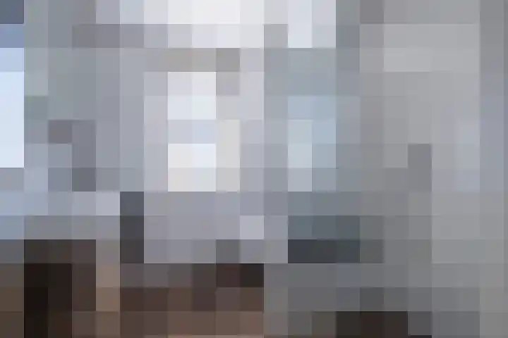 Spinet 29 Zevenaar thumbnail 31