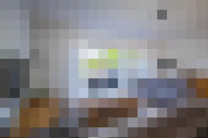 Spinet 29 Zevenaar thumbnail 4