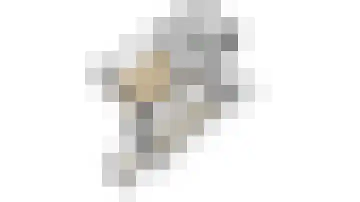 Spinet 29 Zevenaar thumbnail 41