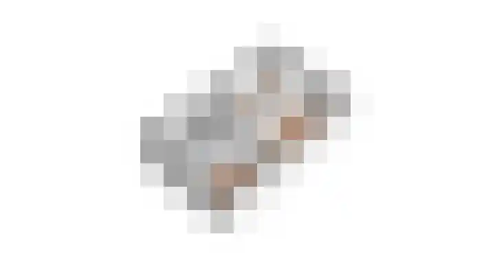 Spinet 29 Zevenaar thumbnail 45