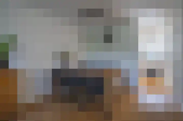 Spinet 29 Zevenaar thumbnail 8