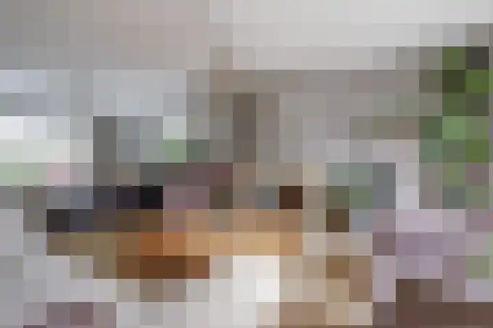 Spinet 37 Zevenaar thumbnail 11