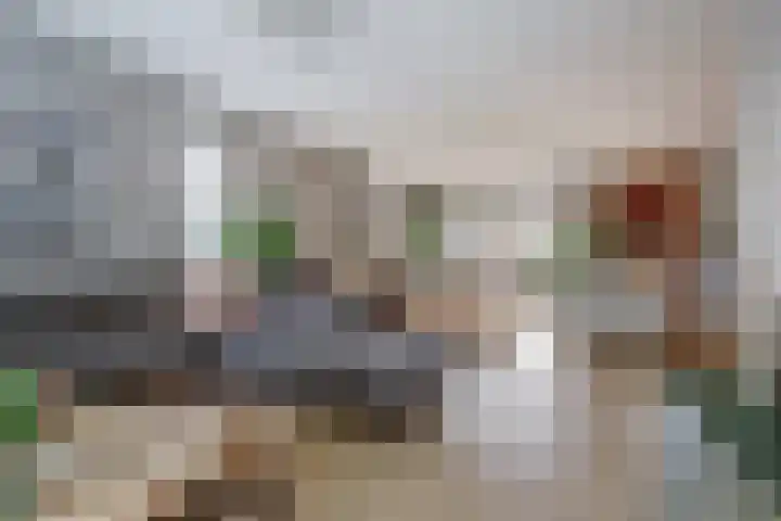 Spinet 37 Zevenaar thumbnail 14