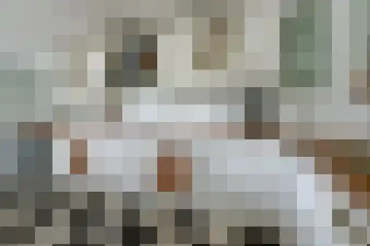 Spinet 37 Zevenaar thumbnail 18