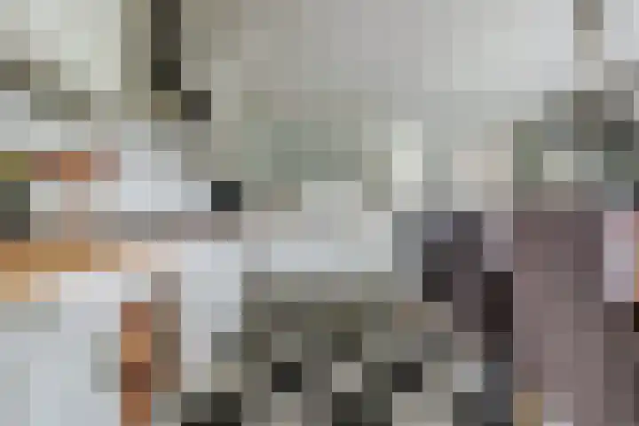 Spinet 37 Zevenaar thumbnail 19