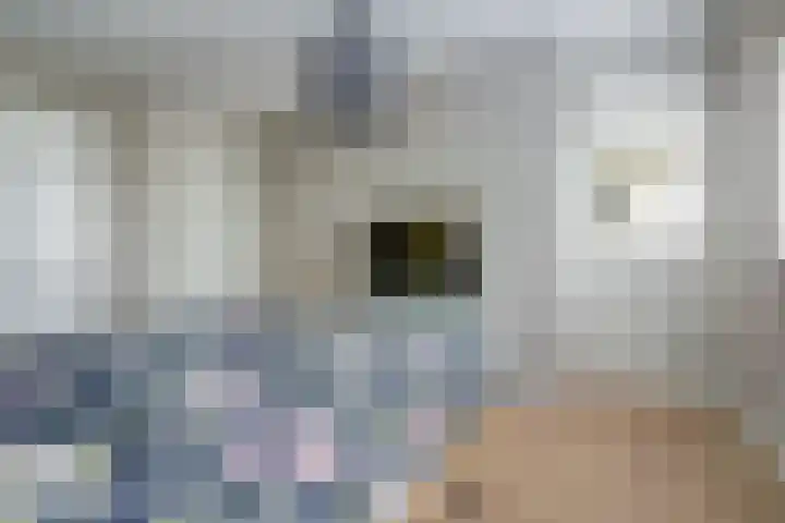 Spinet 37 Zevenaar thumbnail 30