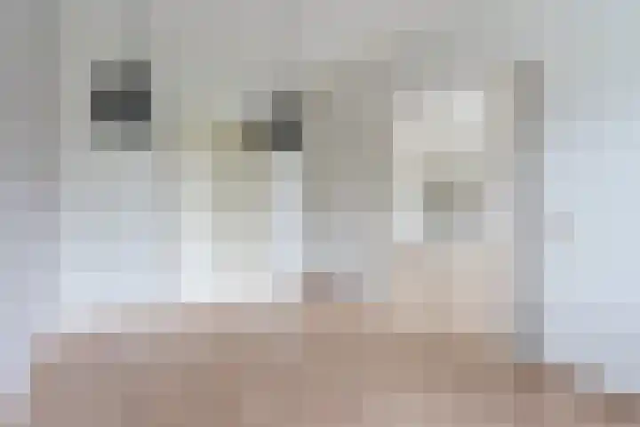 Spinet 37 Zevenaar thumbnail 37