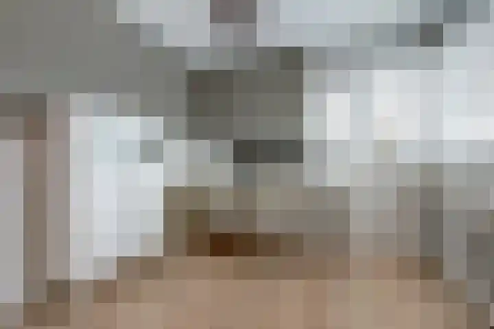 Spinet 37 Zevenaar thumbnail 40