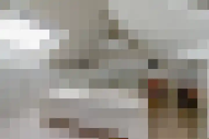 Spinet 37 Zevenaar thumbnail 41
