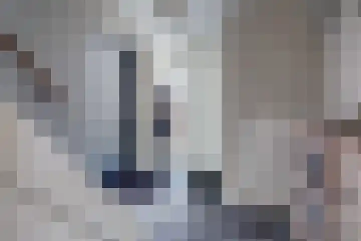 Spinet 37 Zevenaar thumbnail 5