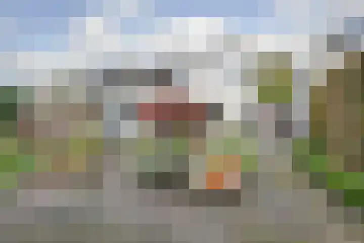 Spinet 37 Zevenaar thumbnail 53