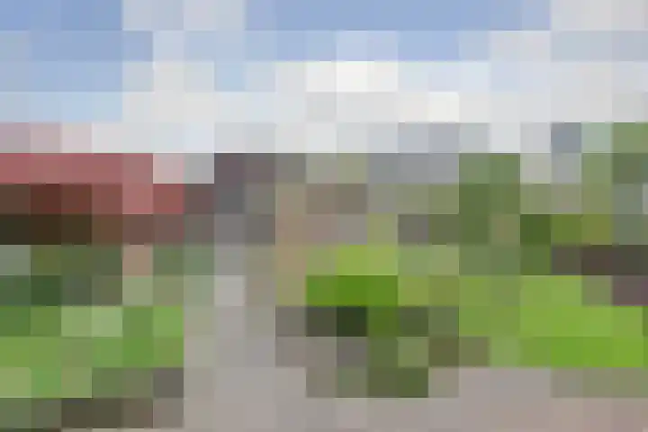 Spinet 37 Zevenaar thumbnail 55