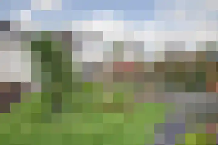 Spinet 37 Zevenaar thumbnail 58