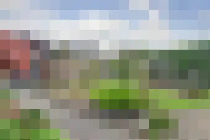 Spinet 37 Zevenaar thumbnail 59