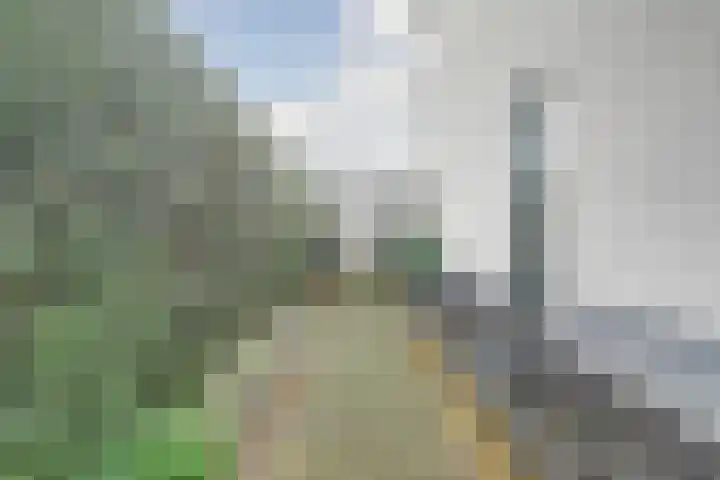 Spinet 37 Zevenaar thumbnail 60