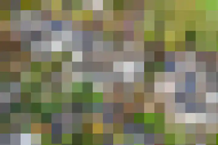 Spinet 37 Zevenaar thumbnail 61