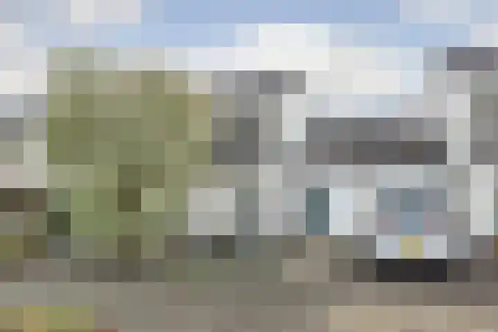 Spinet 37 Zevenaar thumbnail 63