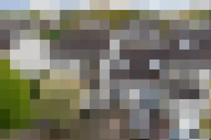 Spinet 37 Zevenaar thumbnail 64