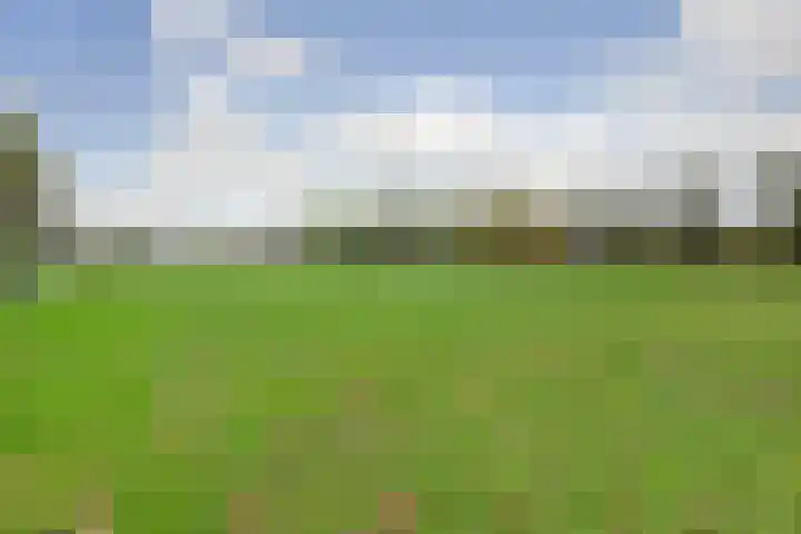 Spinet 37 Zevenaar thumbnail 66