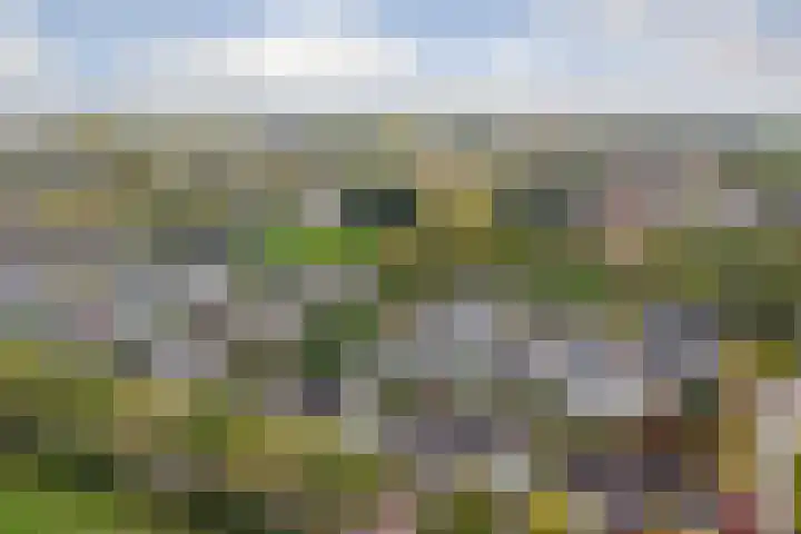 Spinet 37 Zevenaar thumbnail 67