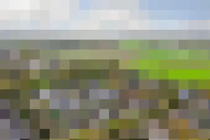 Spinet 37 Zevenaar thumbnail 68