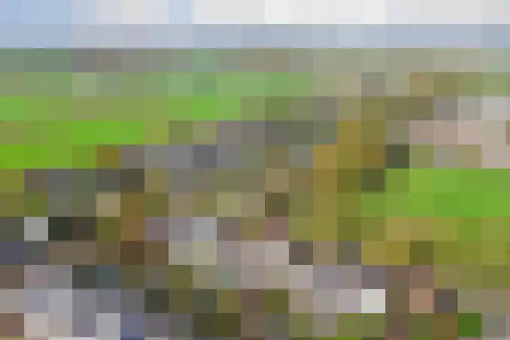 Spinet 37 Zevenaar thumbnail 69