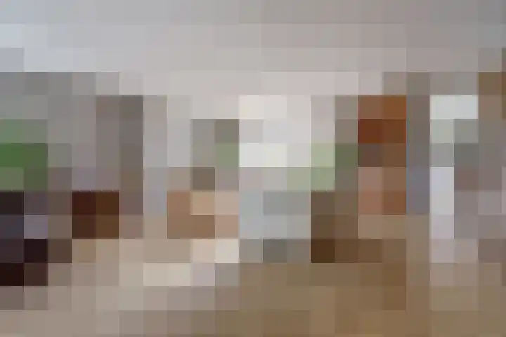 Spinet 37 Zevenaar thumbnail 7