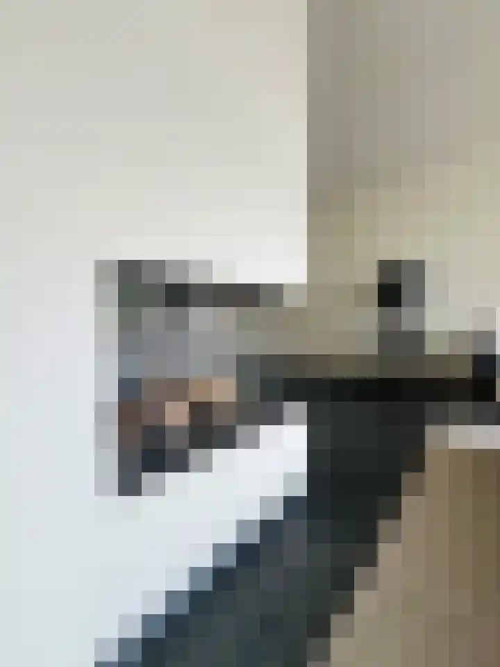 Spinet 37 Zevenaar thumbnail 70