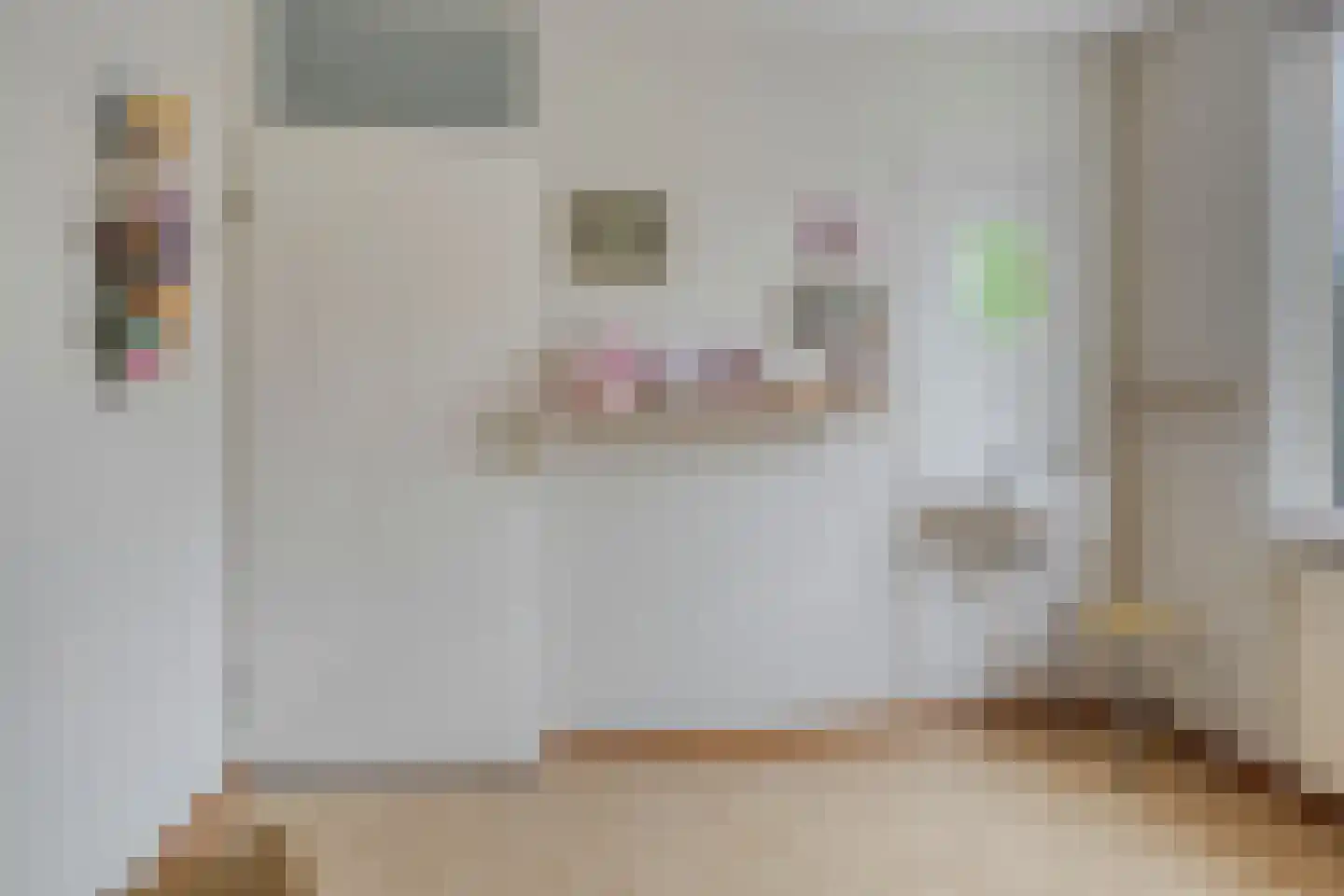 Spinet 40 Soest thumbnail 19