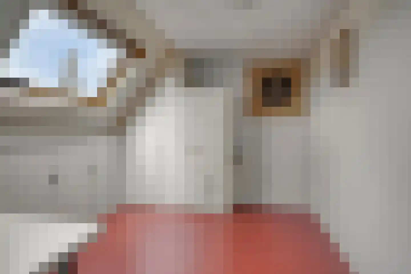 Spinet 40 Soest thumbnail 24