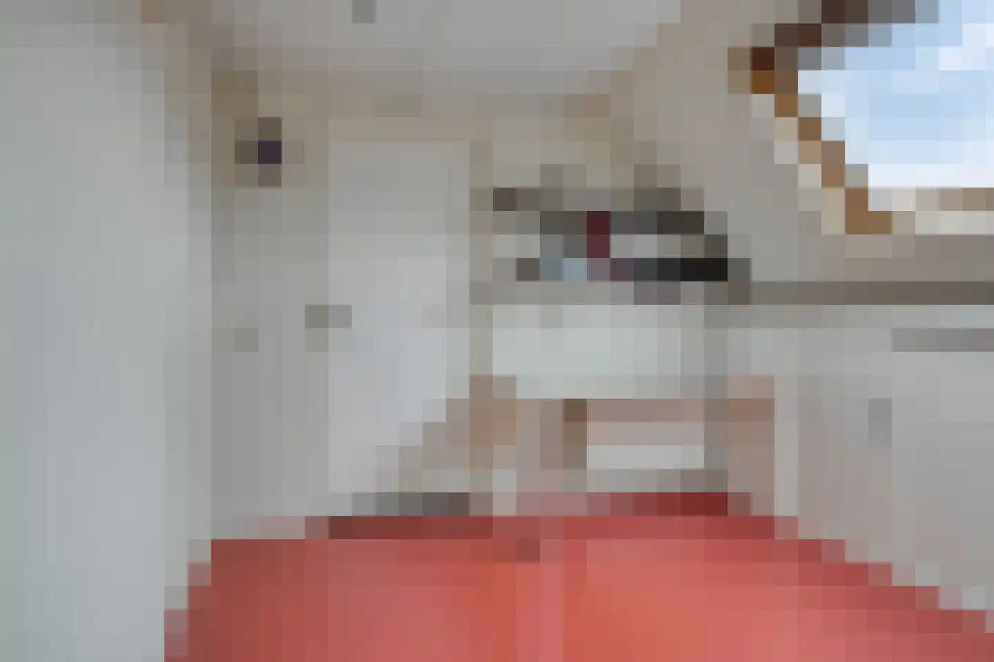 Spinet 40 Soest thumbnail 25