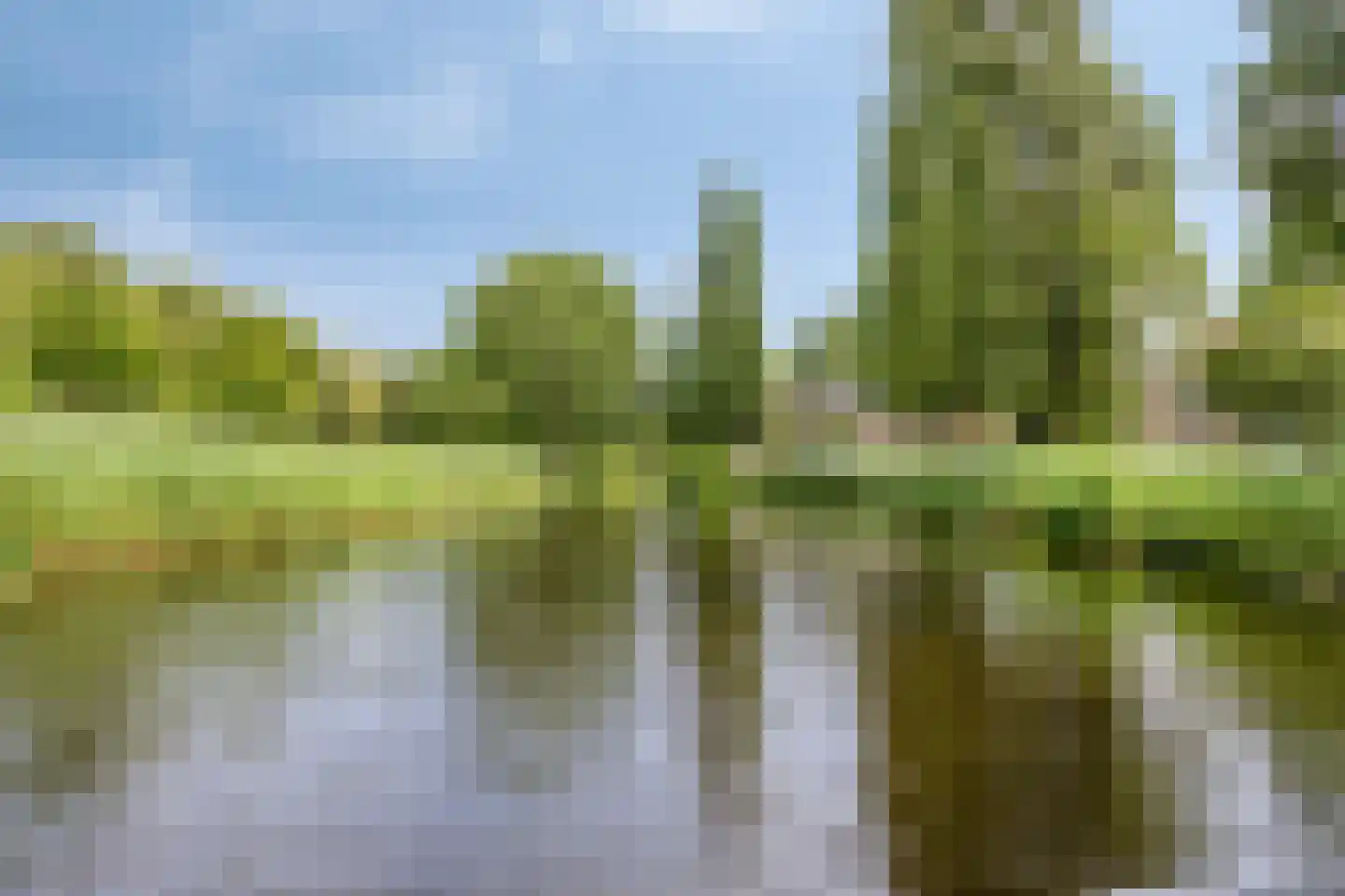 Spinet 40 Soest thumbnail 34