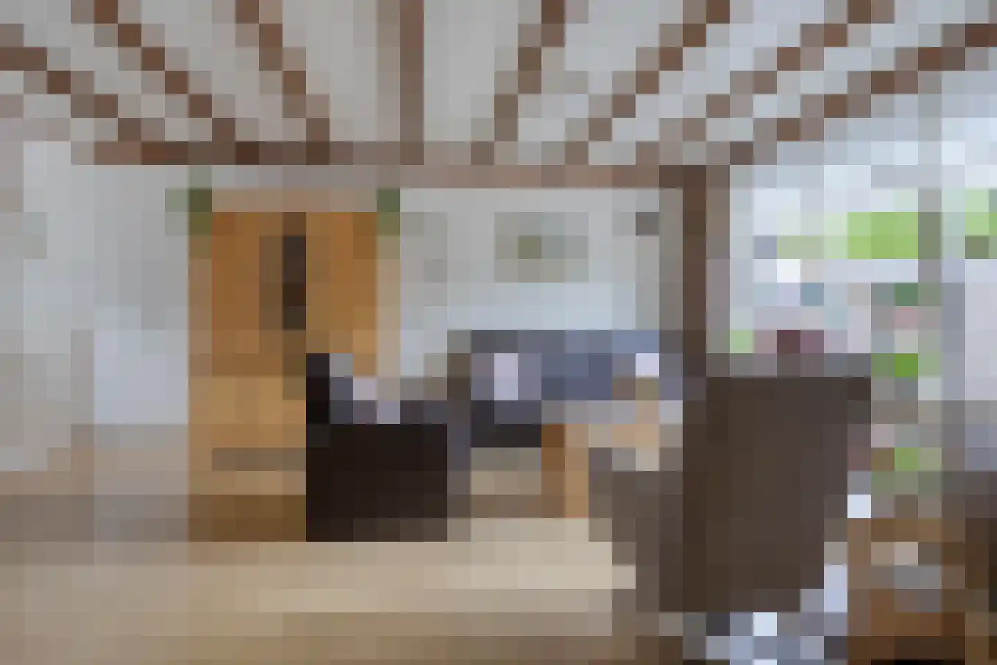 Spinet 40 Soest thumbnail 4